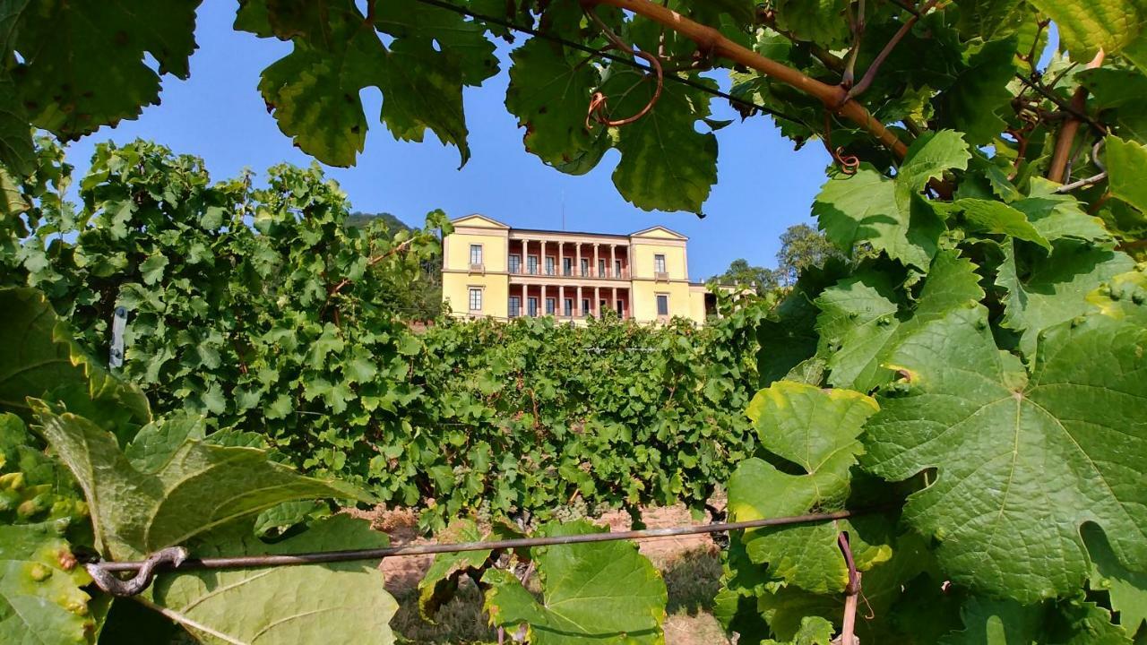 Ferienhaus Rauwolf Mit 2 Ferienwohnungen Roschbach Exterior foto